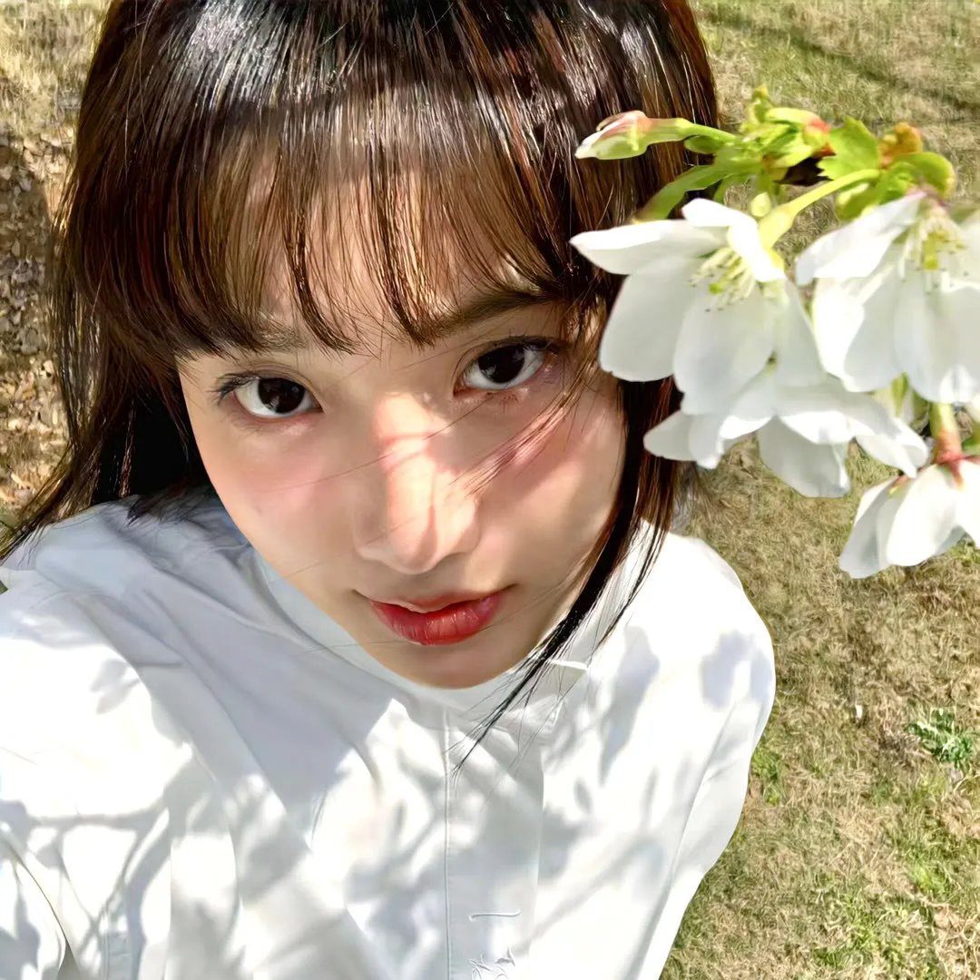 冰美人