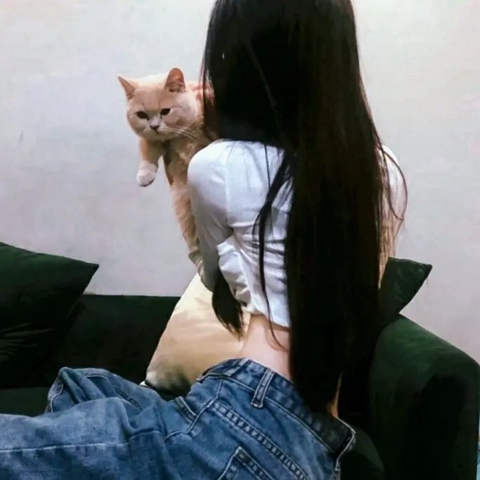 被炉、蜜桔和小猫